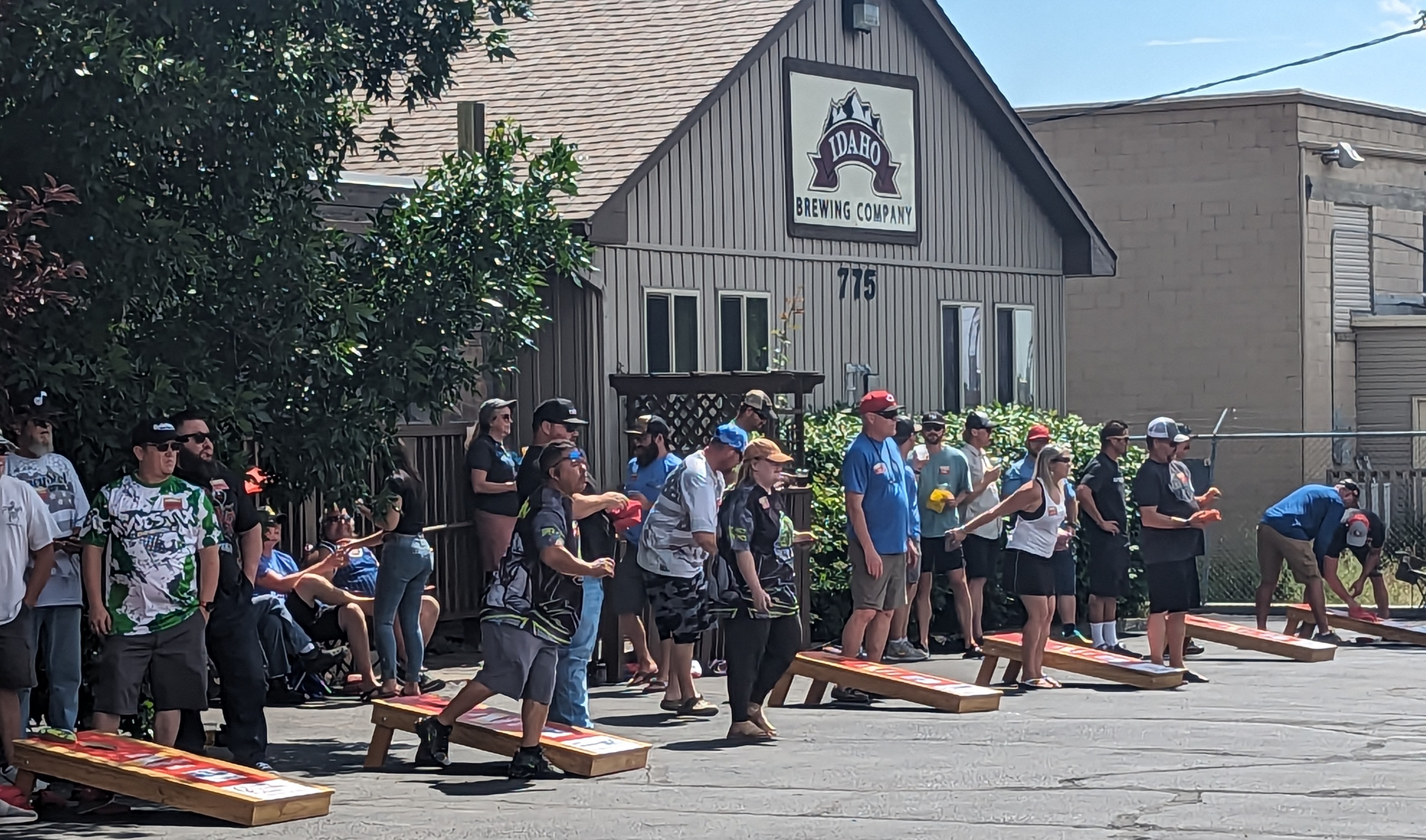 Participants of the cornhole tournament playing.