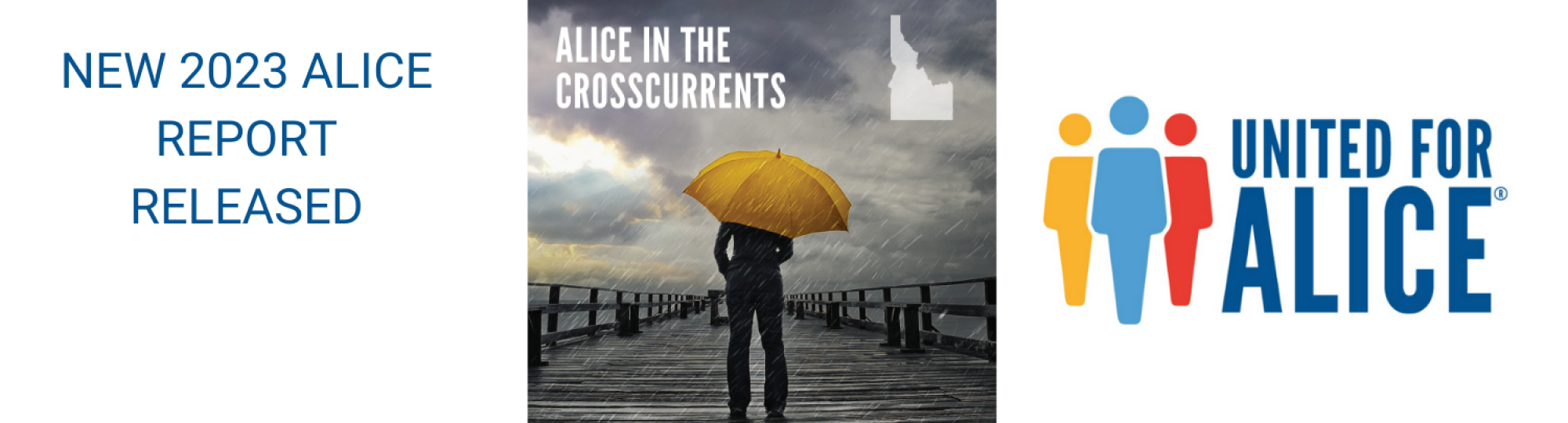 2023 ALICE Report released